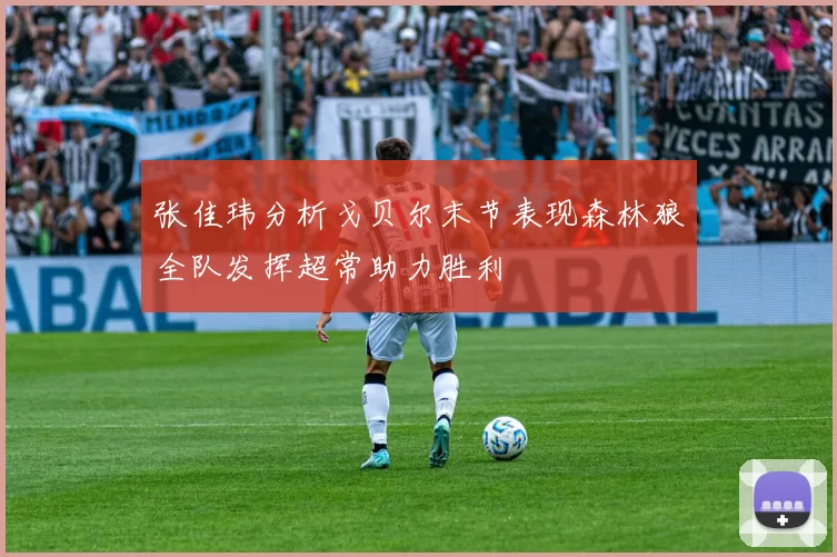张佳玮分析戈贝尔末节表现森林狼全队发挥超常助力胜利