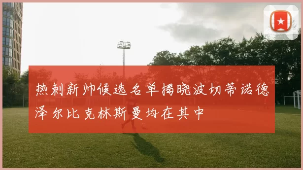 热刺新帅候选名单揭晓波切蒂诺德泽尔比克林斯曼均在其中